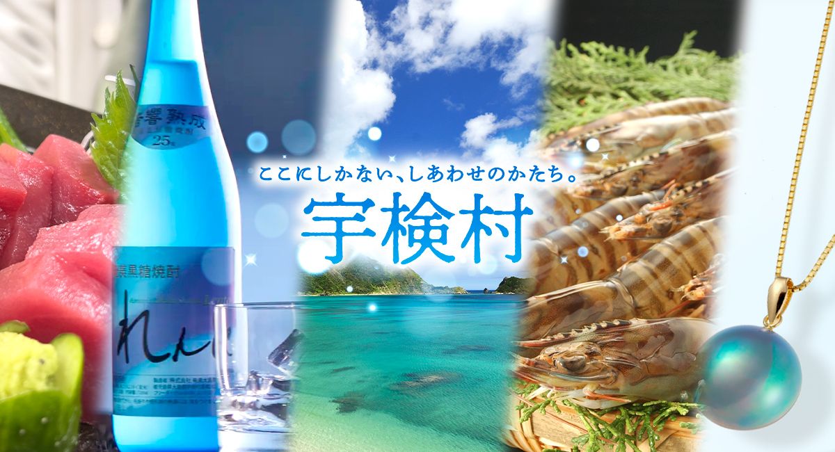 地方創生事業（ふるさと納税）